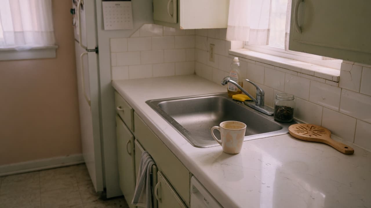 Freshly cleaned Los Angeles kitchen in soft morning light after a professional visit